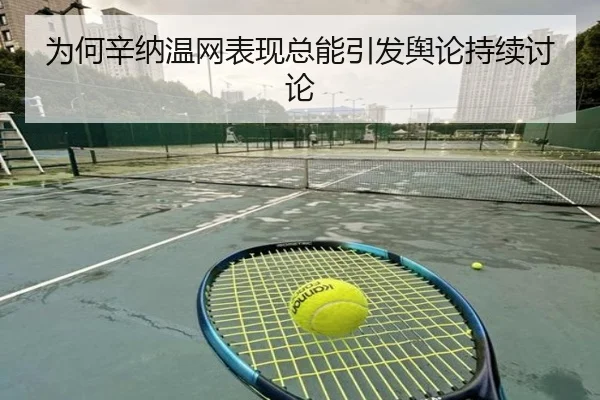 wei-he-xin-na-wen-wang-biao-xian-zong-neng-yin-fa-yu-lun-chi-xu-tao-lun-2-727.jpg
